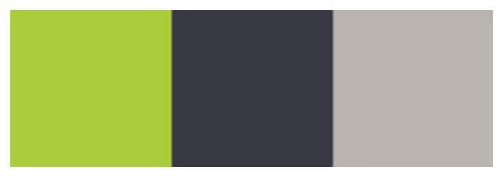 logo_color